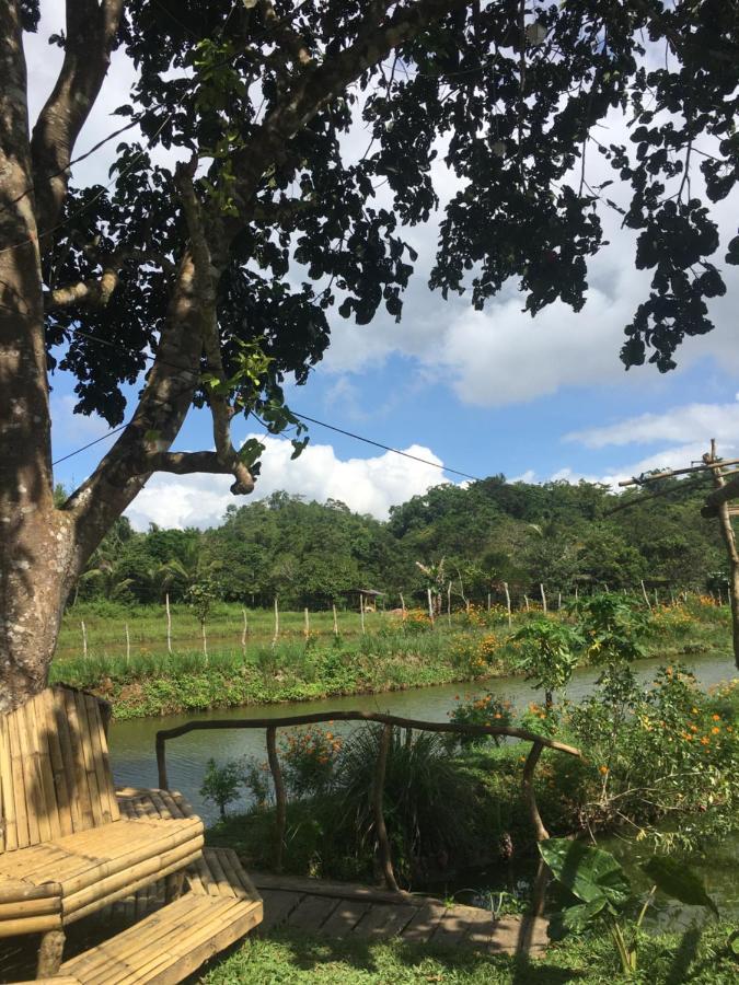 Camelo Farm Hotel Bilar Ngoại thất bức ảnh