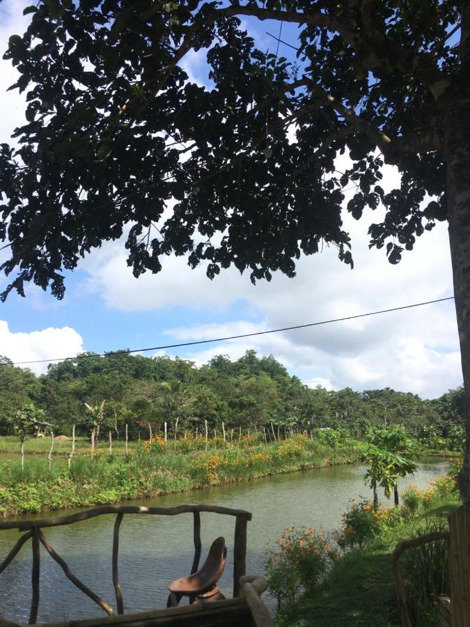 Camelo Farm Hotel Bilar Ngoại thất bức ảnh