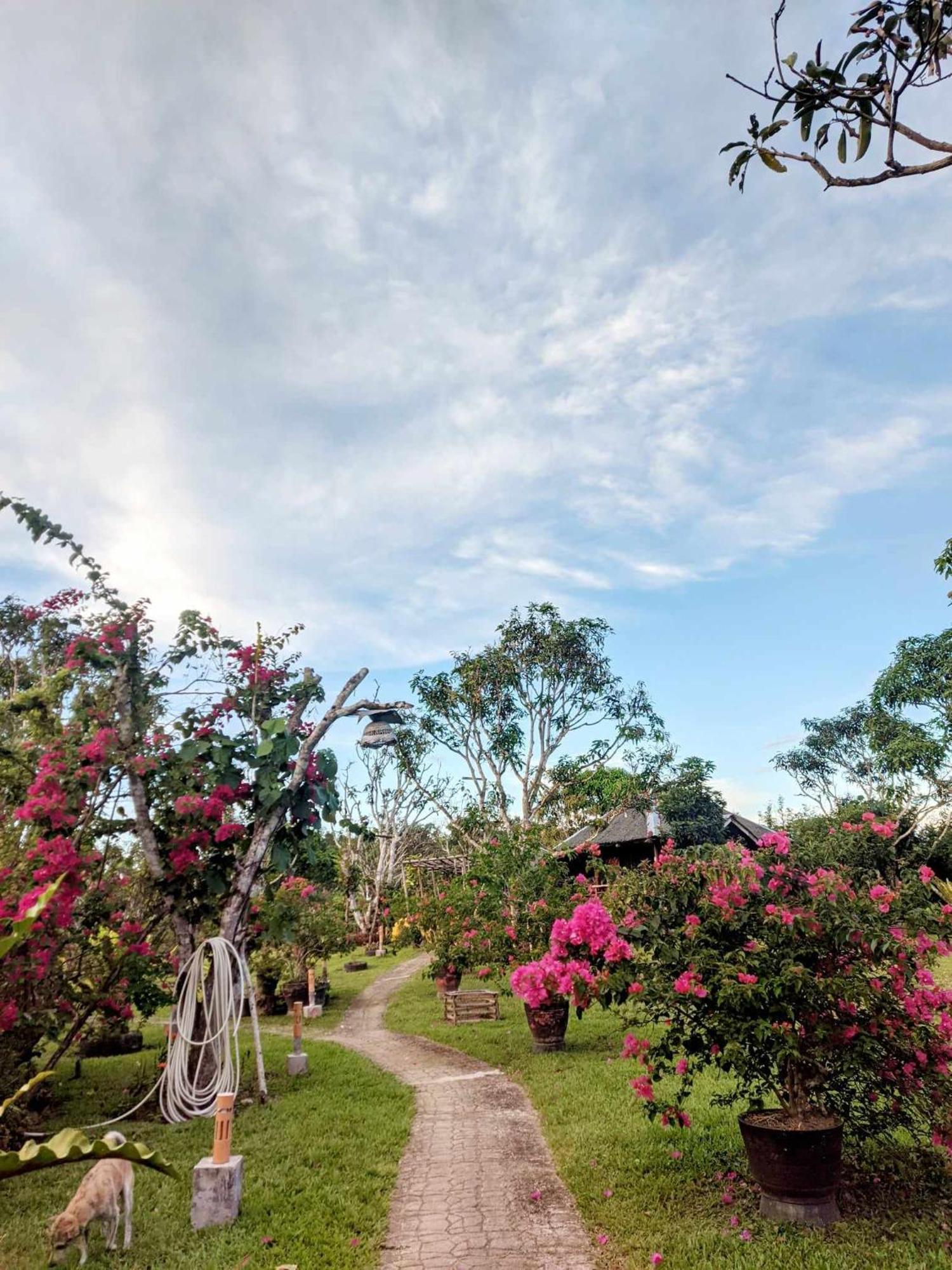 Camelo Farm Hotel Bilar Ngoại thất bức ảnh
