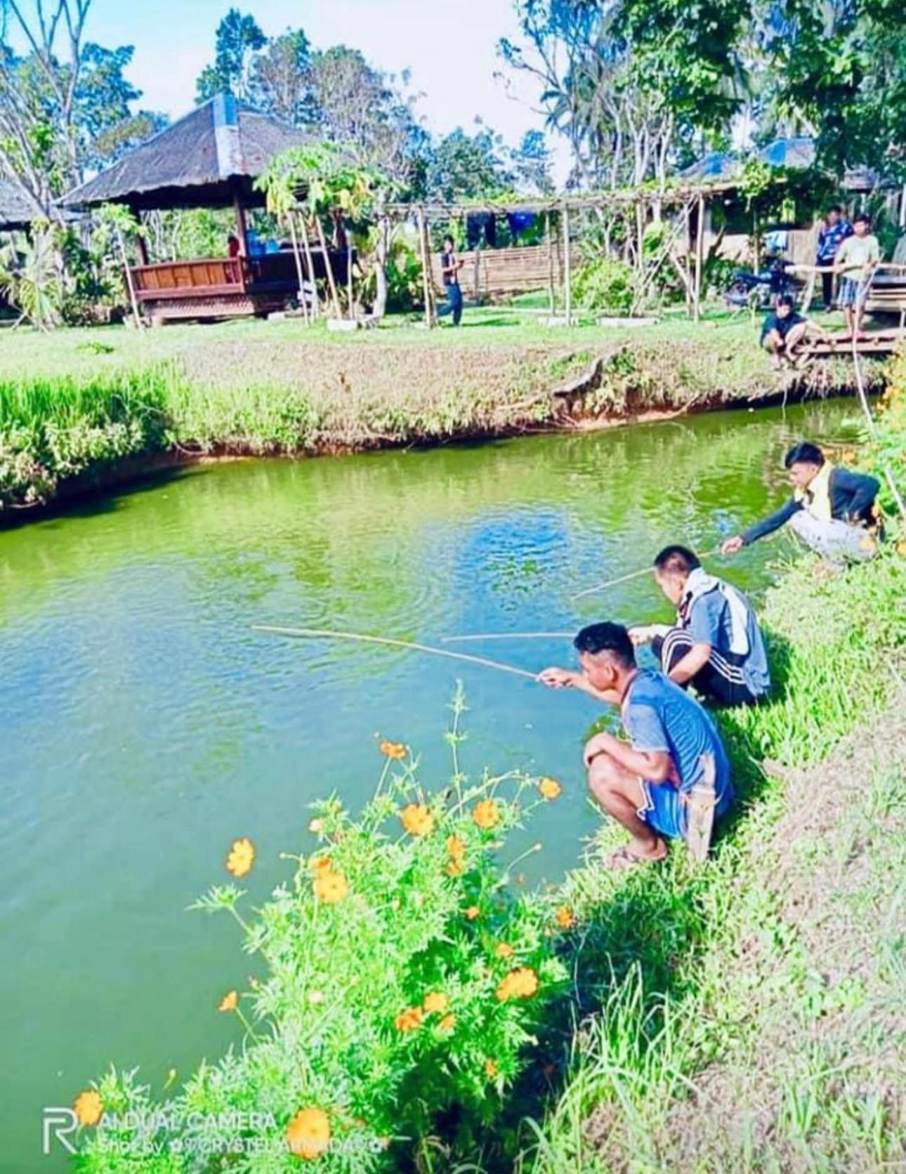 Camelo Farm Hotel Bilar Ngoại thất bức ảnh