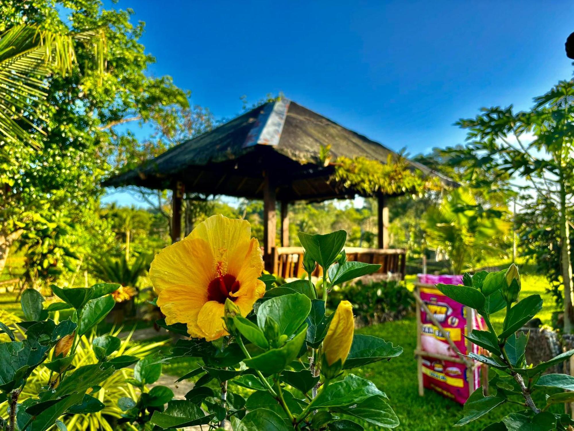 Camelo Farm Hotel Bilar Ngoại thất bức ảnh