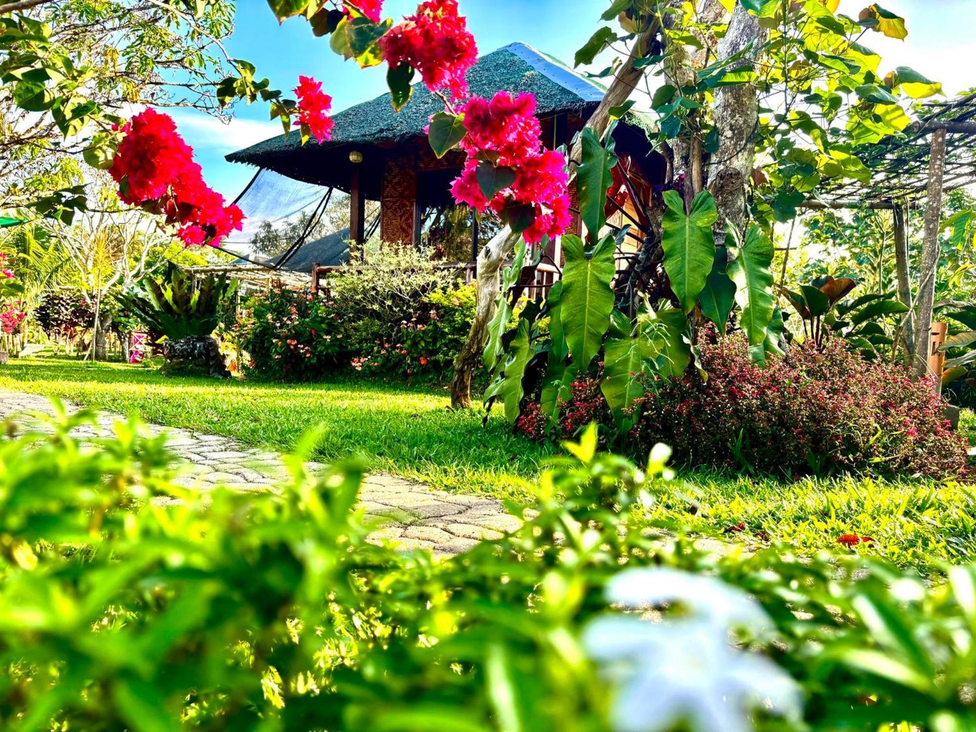 Camelo Farm Hotel Bilar Ngoại thất bức ảnh